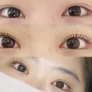 범계 속눈썹펌 더예쁘지 대만족 솔직후기