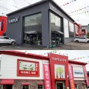 나무279(템퍼)