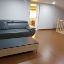 로뎀프리 이미지