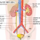 세인산부인과의원 이미지