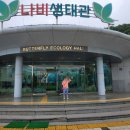 남해 나비 생태관 후기 나비와 함께하는 힐링 여행