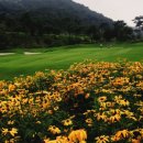 해피니스CC 이미지