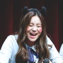 팬사 이미지