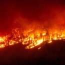 캐나다 "하룻밤 사이 100년 치 화재"…산불에 연달아 비상사태 선포 이미지