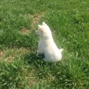 초정목장 이미지