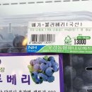 강릉농협 고단지점 | 🌊듀벅듀벅 강릉여행슨🚶‍♀️