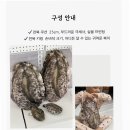 완도전복 이미지