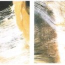 염기룡한의원 이미지