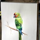 약사초등학교 이미지