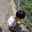 우리동네청소대장 이미지