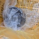 강서구-1 이미지