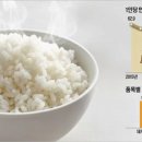 쌀 이미지