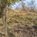 강동-길동-12 이미지