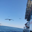 대원3리 이미지