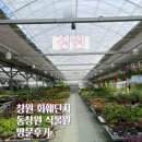 경남낙우회영농조합법인 | 경남 창원 화훼단지 동창원 식물원 방문 후기