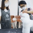 원포인트애견미용학원