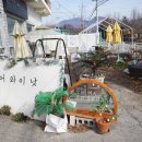 슈어와이낫