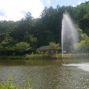 김씨네민박 이미지