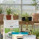 제일농약종묘사 이미지