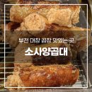 소사양곱대 이미지