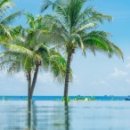 (주)제이제이투어 이미지