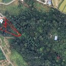 for you부동산공인중개사사무소 이미지