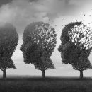 경상북도립김천노인전문요양병원 이미지