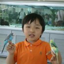 제주후니네 이미지