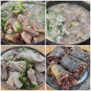 세종미래고등학교 | 세종 부강 맛집 부강옥 명품순대국 섞어 내돈내산 찐 후기