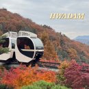 단풍 | 화담숲 | 가을에 꼭 가봐야 할 서울 근교 단풍 명소 후기