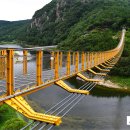 금산인삼관 | 충남 금산 월영산 출렁다리 여행 가이드 + 주변 관광 코스 추천