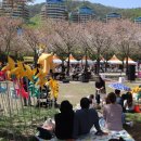 문화가 있는 날-고희안의 재즈트리오 | [홍천] 벚꽃 시즌 최고였던 '블라썸 스테이지' 후기