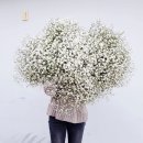 한점순수