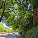 리폴티 | 안양예술공원 청국장 순두부 아아 망해암 등산 ⛰️ 임곡중 코스 등산로