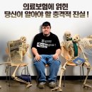 식코(sicko) 영화감상문 이미지