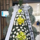 대전동부요양병원