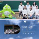돌핀 | [N돌핀]N돌핀 13기 합격 후기 &amp; 활동 수기