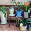 정마담식당 이미지