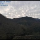 진상초황죽분교장 이미지