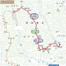 서부농협 건너편 이미지