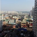 일심공인중개사사무소 이미지