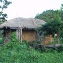 목소리 농로 이미지