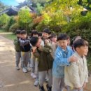 참자연 어린이집 | 우리들자연학교 10월 24일 복사골 어린이집 졸업여행 후기