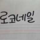 로코네일 이미지