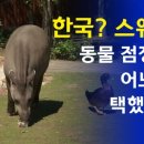 맥 이미지