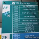 윌리엄스파