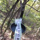 홍천 용소계곡 트래킹 후기