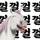 화경유도관 이미지