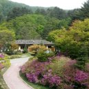 평창그린힐리조트 이미지