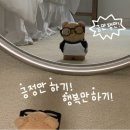 시월(十月)을 좋아하는 1인